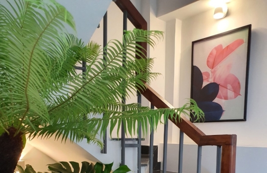 NHÀ PHỐ CƯ XÁ ĐÔ THÀNH